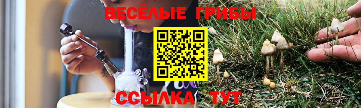 Галлюциногенные грибы Magic Shrooms Лыткарино
